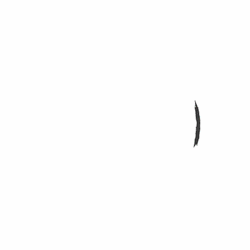 tumblr_my2l35m0tB1s49q5qo1_250.gif