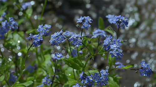 6e0d55509c57227ebe029c6c9ac30e92.gif
