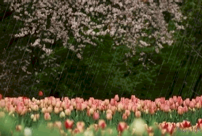 59328f9cd06f87803e54c6932e9db0e4.gif