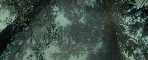 tumblr_mtu9dvbri41s19pnbo6_500.gif
