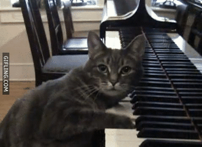 a86a0f90245fc71a53aa7581bb7bc69f.gif