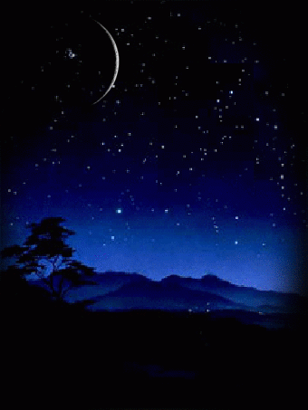 IMG_2293.GIF