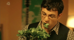 giphy__3_.gif