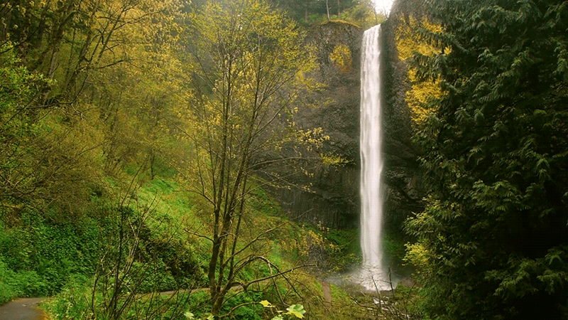 630c9dfd71d335f5ed57325bfb963db6.gif