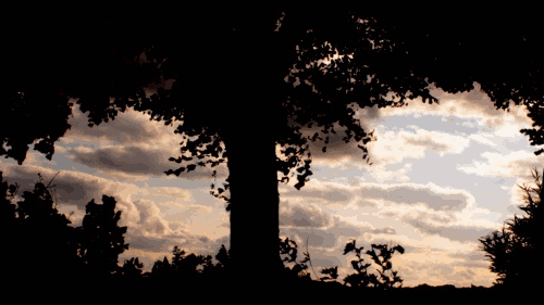 e3e9a3c0004a3c9dbf4bfbf3dde8ece3.gif