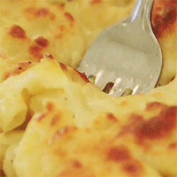 tumblr_m9i1ipe2d61rpnb9to5_250.gif