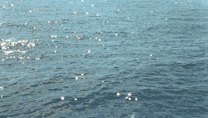 tumblr_n3ccqadV4d1t4zkgfo1_500.gif
