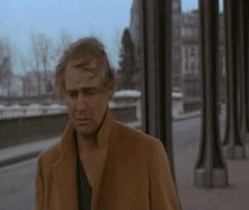 giphy__2_.gif