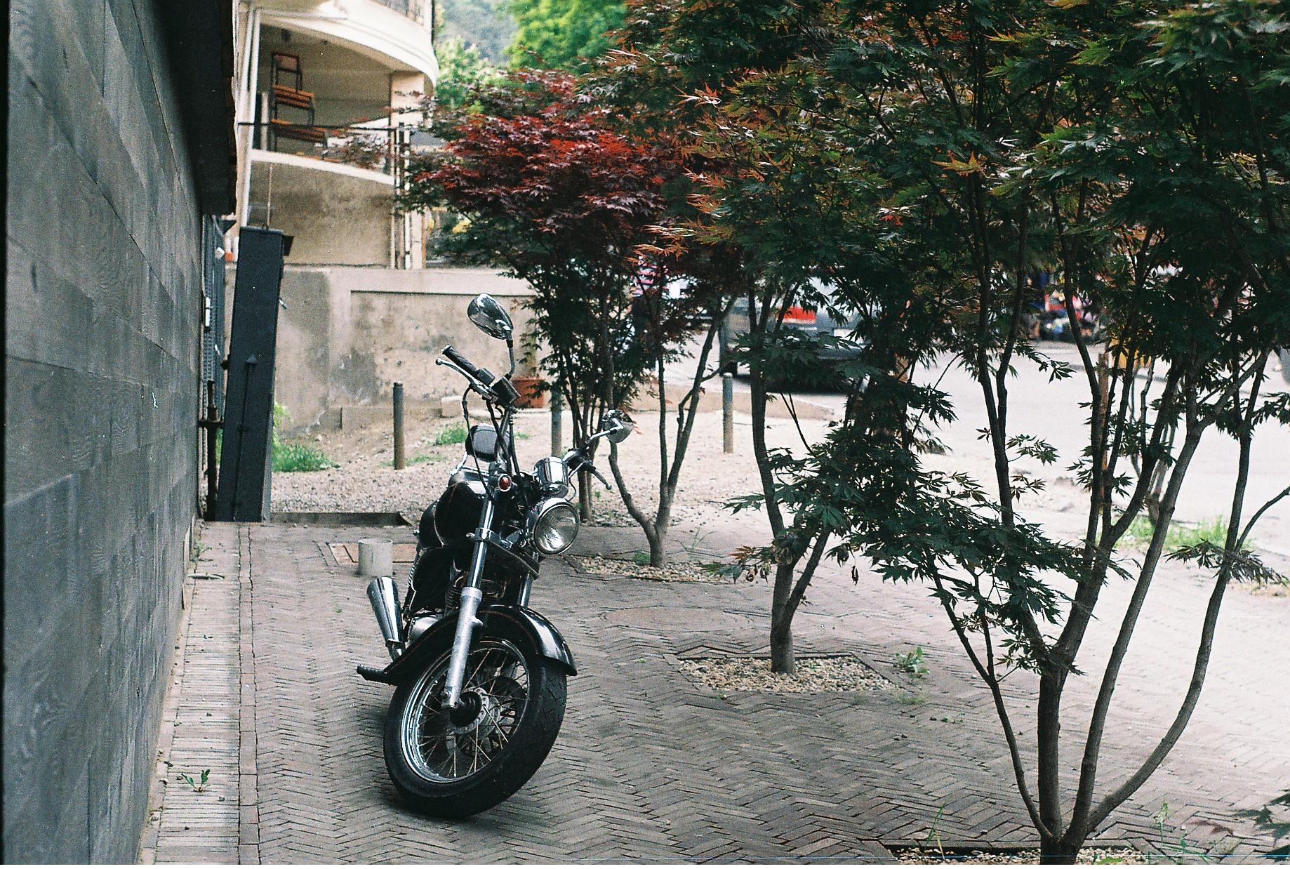 F3010032__1_.JPG