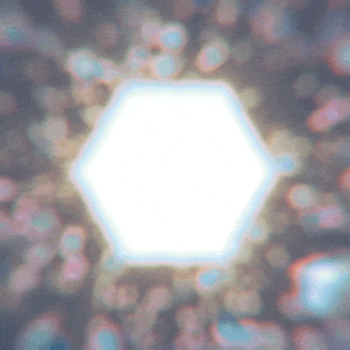 tumblr_m484w0oldp1qzw1qyo1_500_0.gif