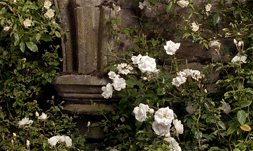 0_149561_c3a9a330_orig.gif