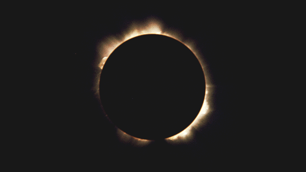 tumblr_static_filename_640_v2.gif