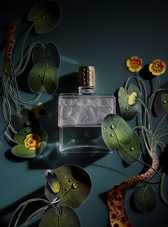 Still_Life_photography_by_Sarah_Hogan.jpg