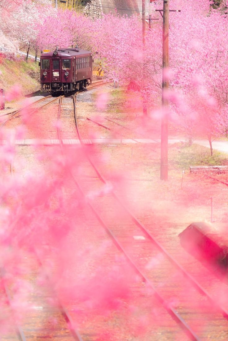 Watarase_Keikoku_Line_in_Gunma__Japan.jpg