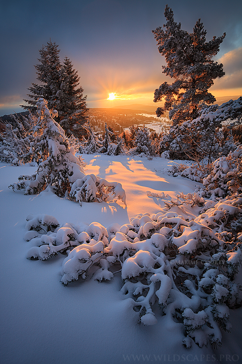 instant_of_light_by_maximecourty_d5oas87.jpg