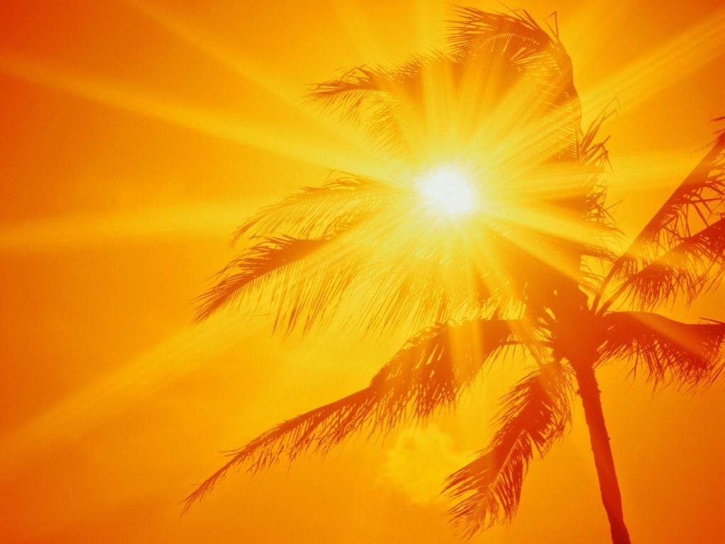 image__10_.jpg