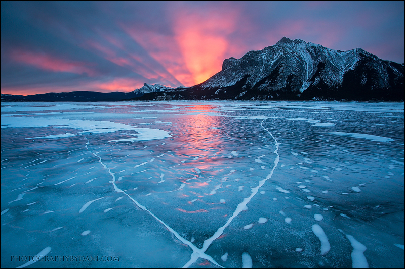 4n9c3785_by_dani_lefrancois_d5w0om7.jpg