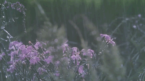 tumblr_opdahkuxz81tliyzbo1_500.gif