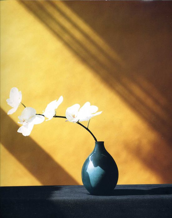 Robert_Mapplethorpe___Flowers..jpg