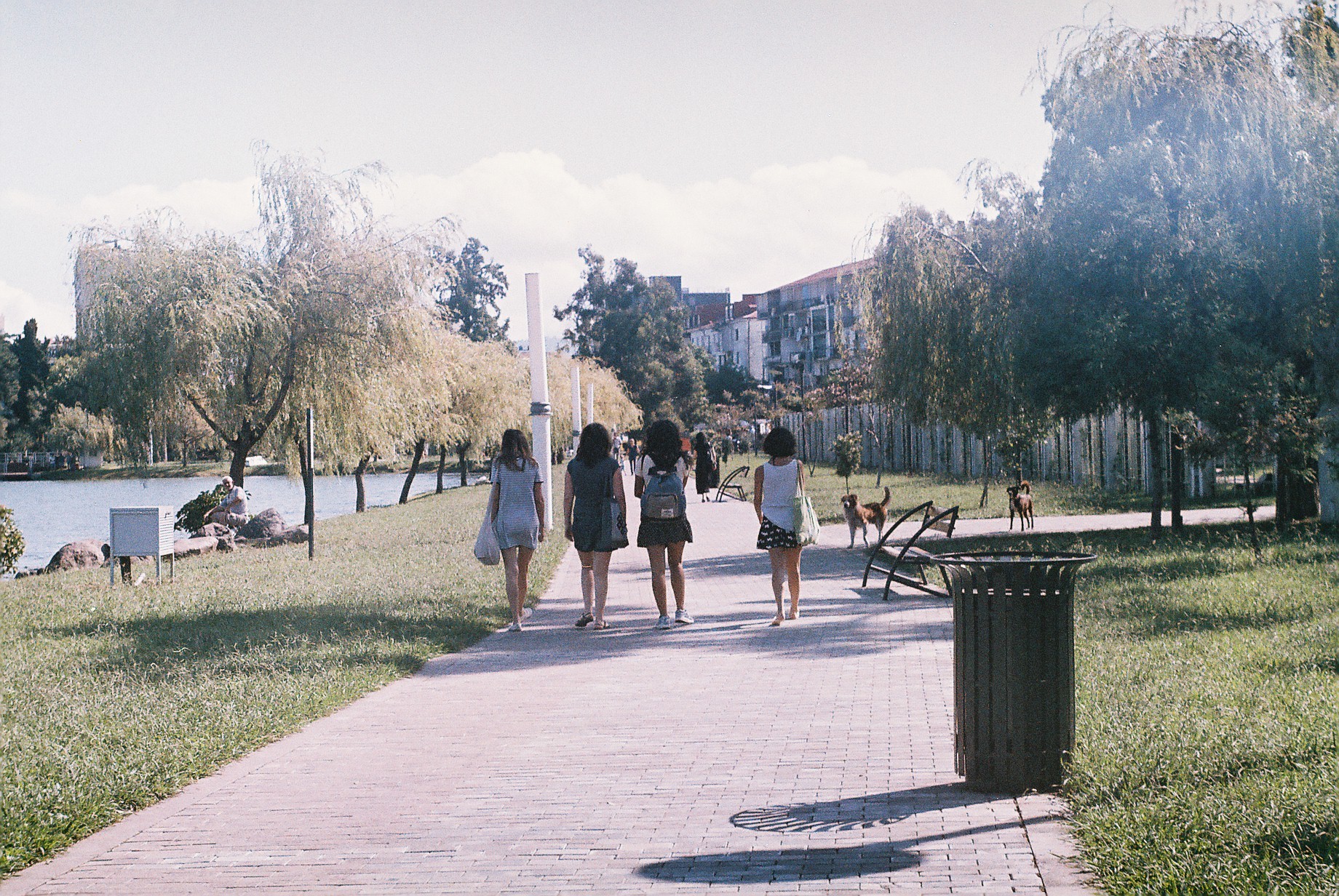F5790017.JPG