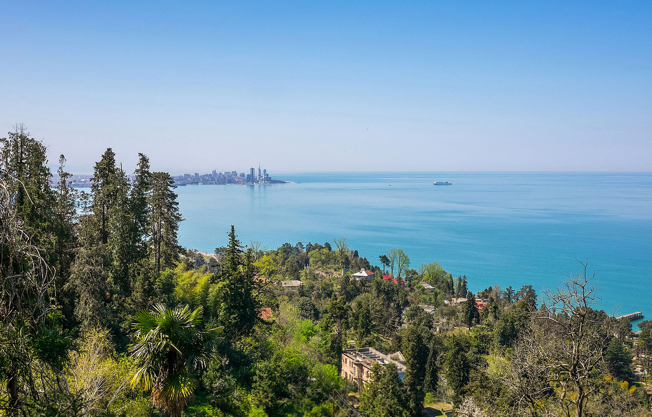 Black_Sea_coast_of_Georgia__country___with_skyline_of_Batumi_on_the_horizon.jpg