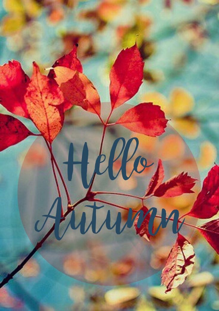 953001185437a814dc5acde8fda9c38b__hello_autumn_autumn_fall.jpg