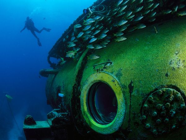 aquarius_laboratory_skerry_18486_600x450.jpg
