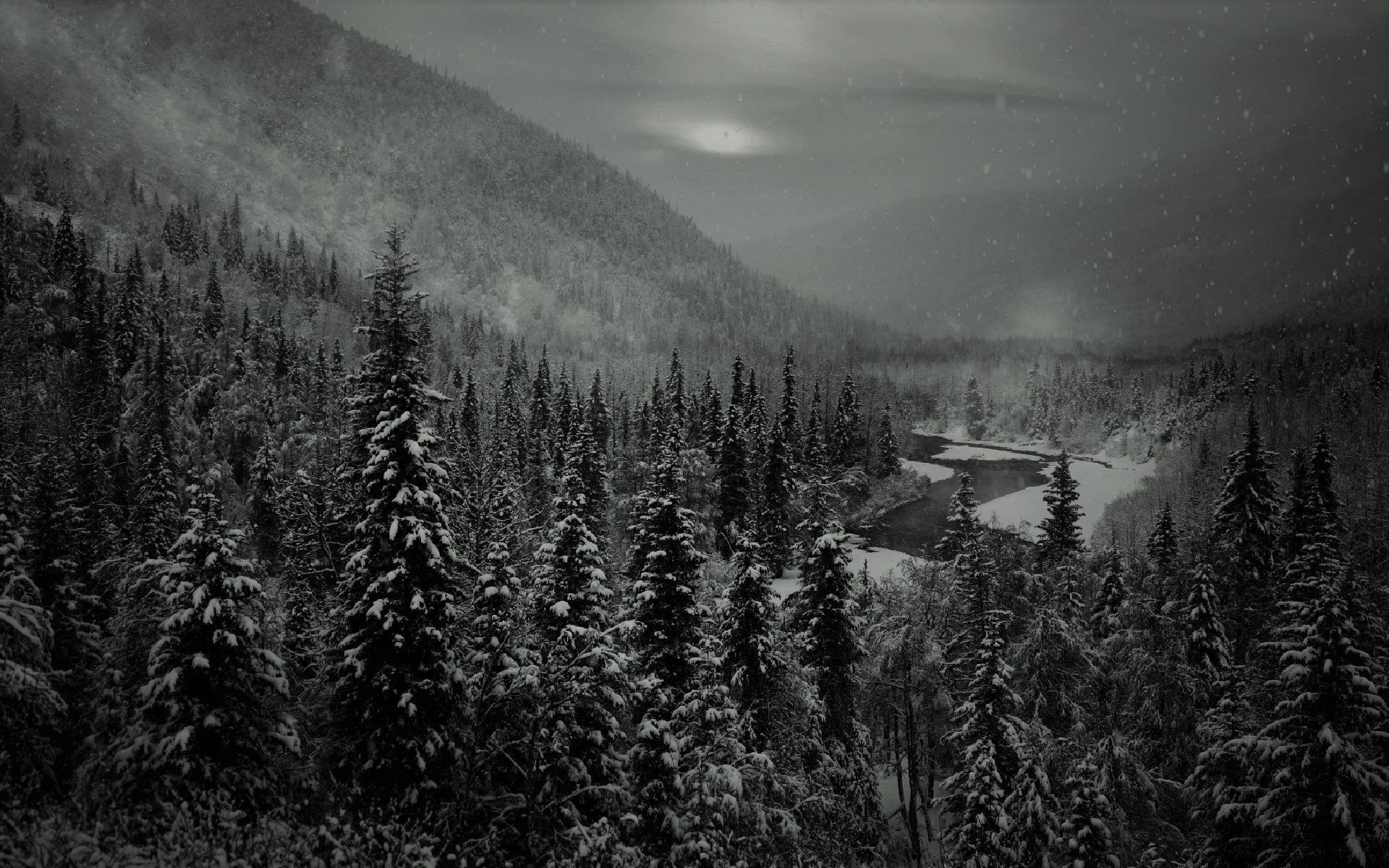 0012297625_130.jpg
