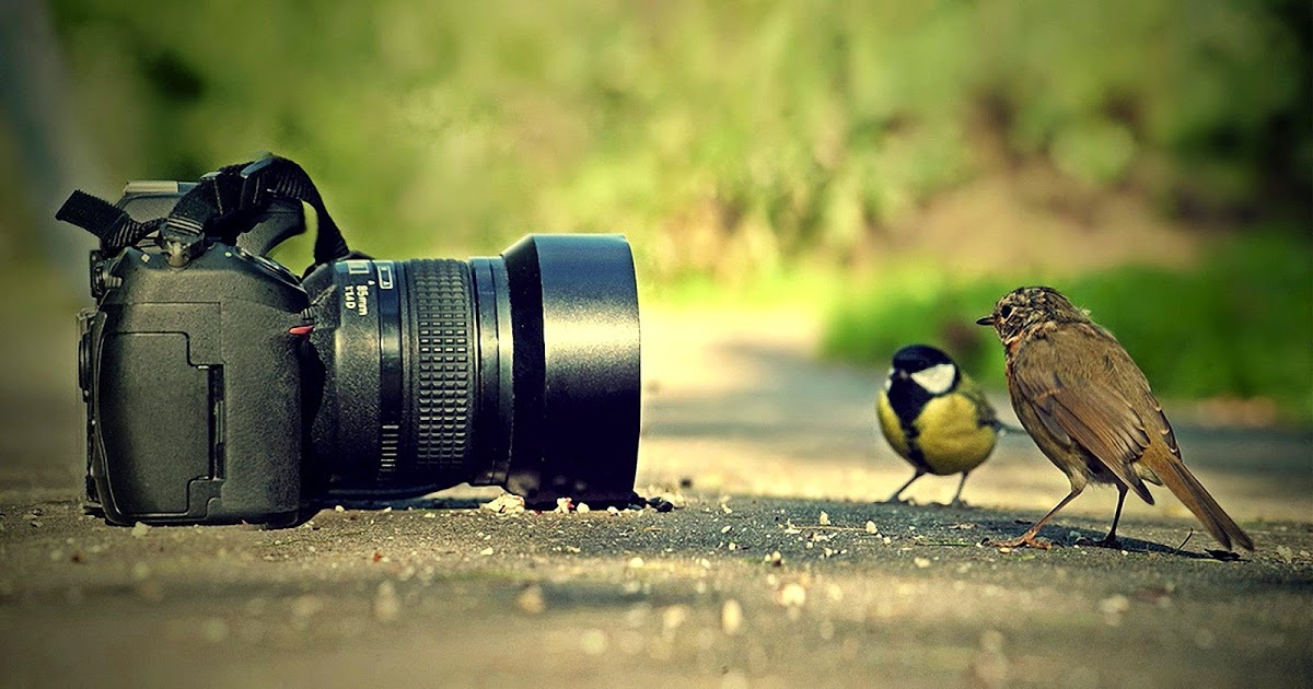 Photography_Wallpapers__1_.jpg