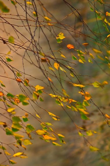 084217_studenckie_kolo_fotografii_przyrodniczej_wystawa_barwy_natury_6_.jpg