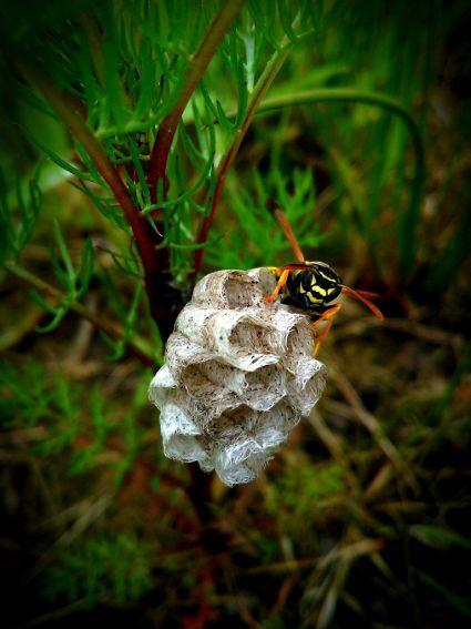 084226_studenckie_kolo_fotografii_przyrodniczej_wystawa_barwy_natury_25_.jpg