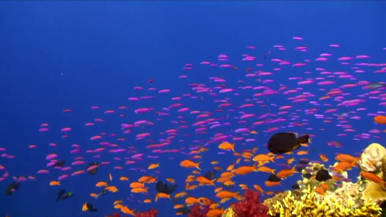 1567492.jpg