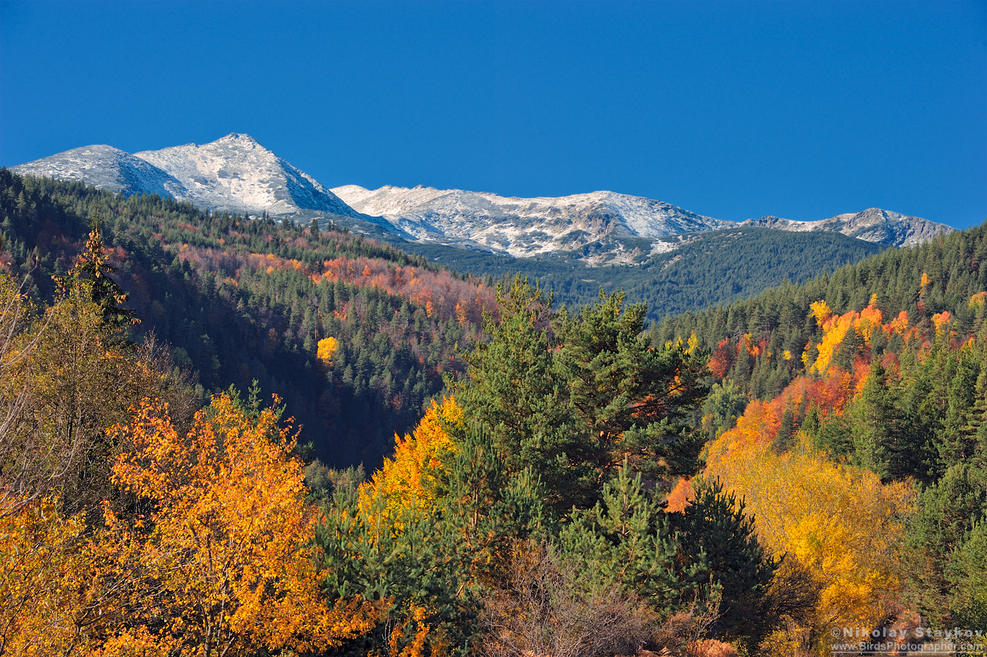 peizaj_pirin_landscape_wwwBirdsPhotographerCom__Nikolay_Staykov_7790.jpg