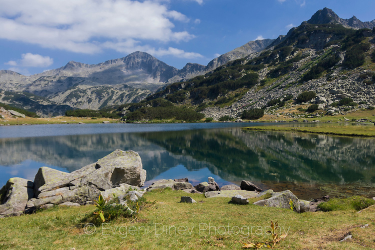 pirin_12386.jpg