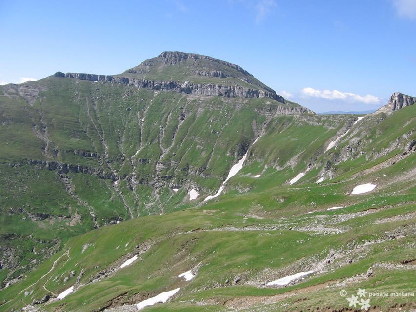 mari_peisaje_vara_8.jpg