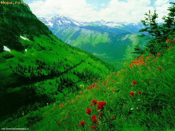 mountain08_1240863066.jpg