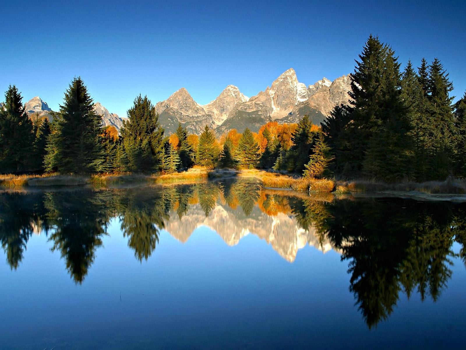 poze_pentru_desktop_peisaje_natura_peisaje_de_iarna.jpg