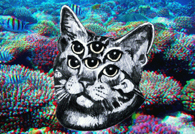 a8Va1h5.gif