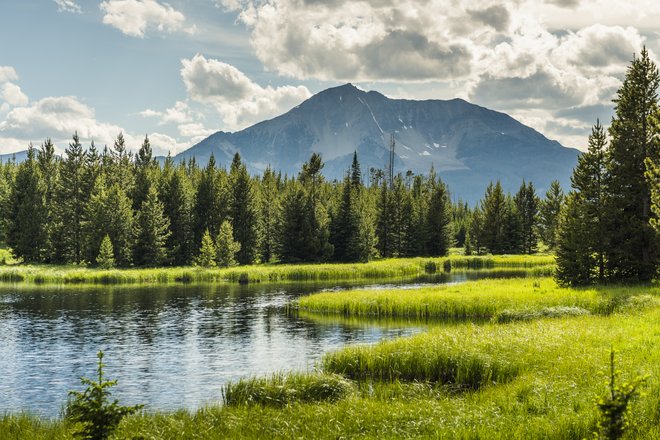 18446_yellowstone.jpg