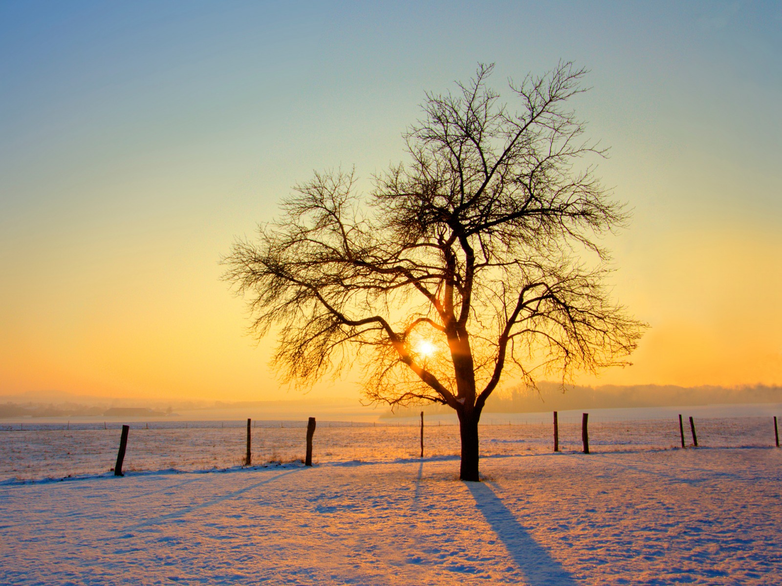 _downloadfiles_wallpapers_1600_1200_cold_morning_wallpaper_winter_nature_1268.jpg