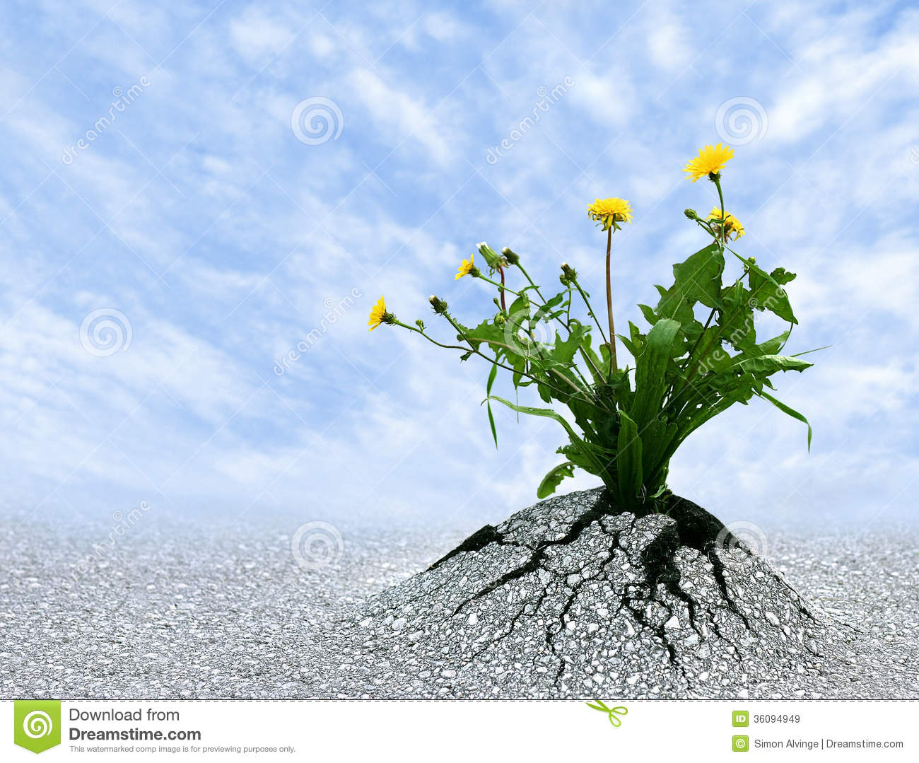 power_life_symbol_many_things_persistence_determination_survival_hope_resilience_strength_winning_force_nature_copy_36094949.jpg