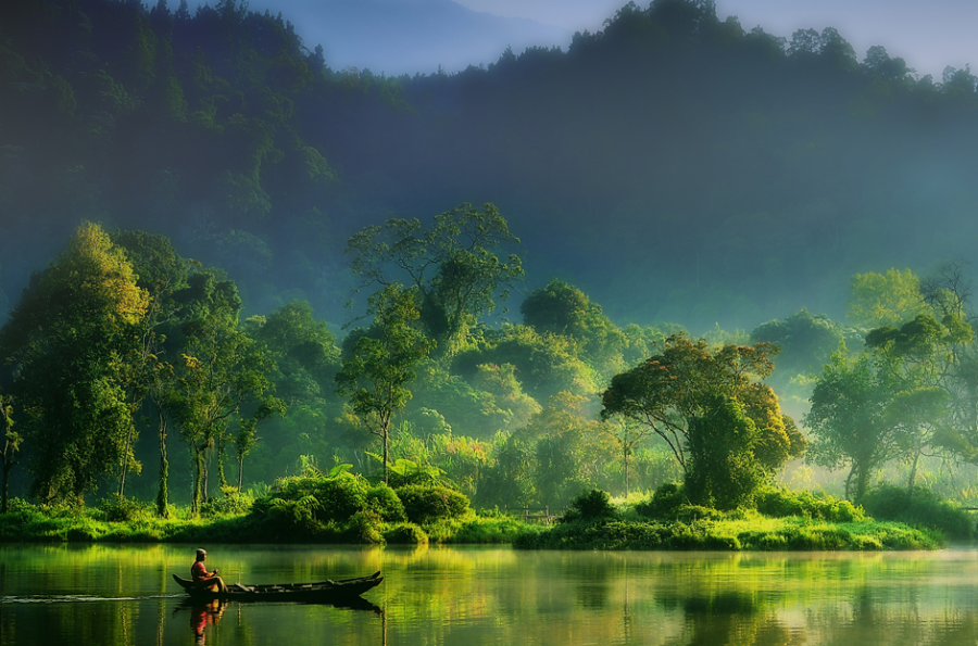 painting_of_nature_by_hardibudi.png