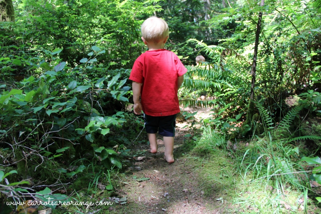 nature_immersion_school.jpg