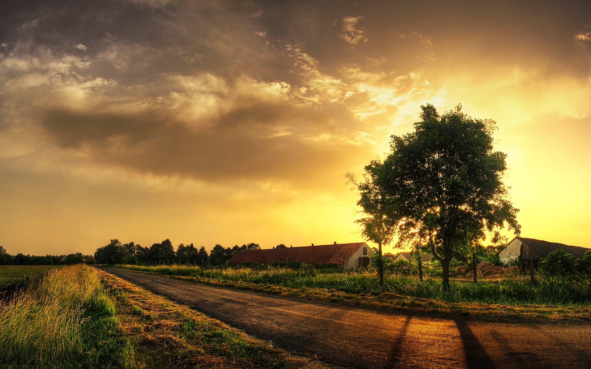 Good_morning_village_farm_nature.jpg