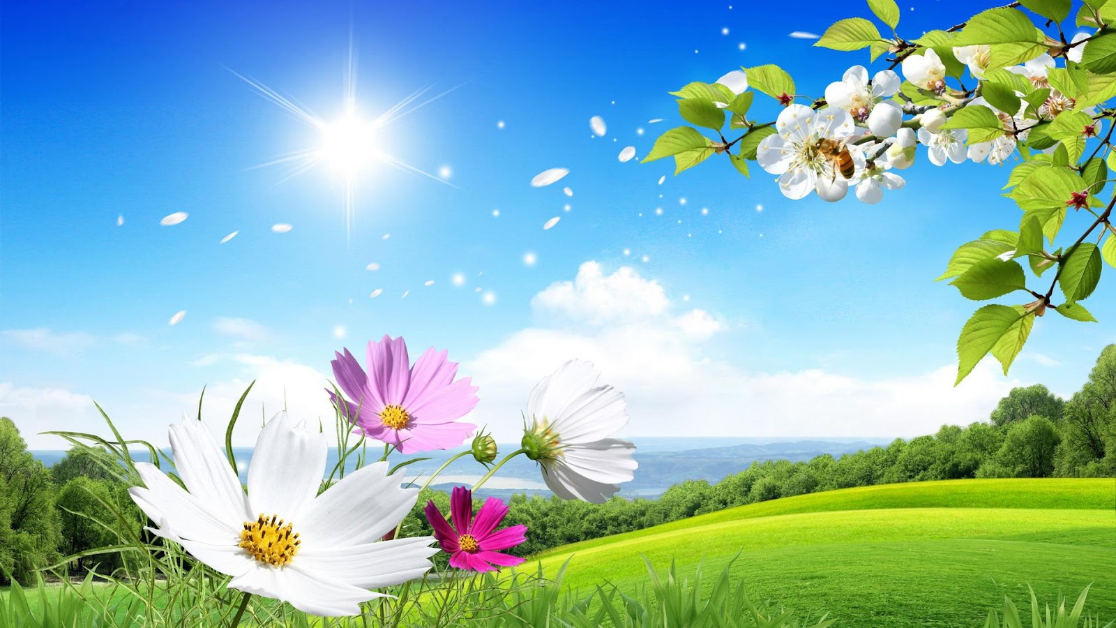 216054_wallpaper_nature_flowers.jpg