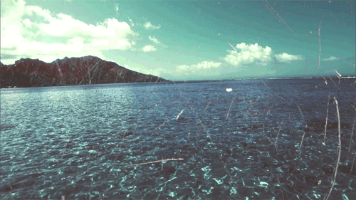 ocean_gif_tumblr_3.gif