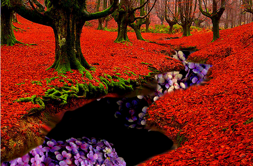 tumblr_n9ydsutWIN1tv6zypo1_500.gif