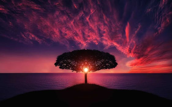 tree_pix.jpg