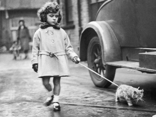antique_black_and_white_cat_childhood_coat_little_girl_favim_com_70126.jpg