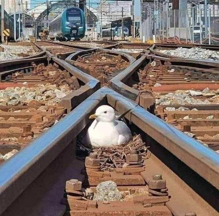 JkieUieEiJ_P3.jpg